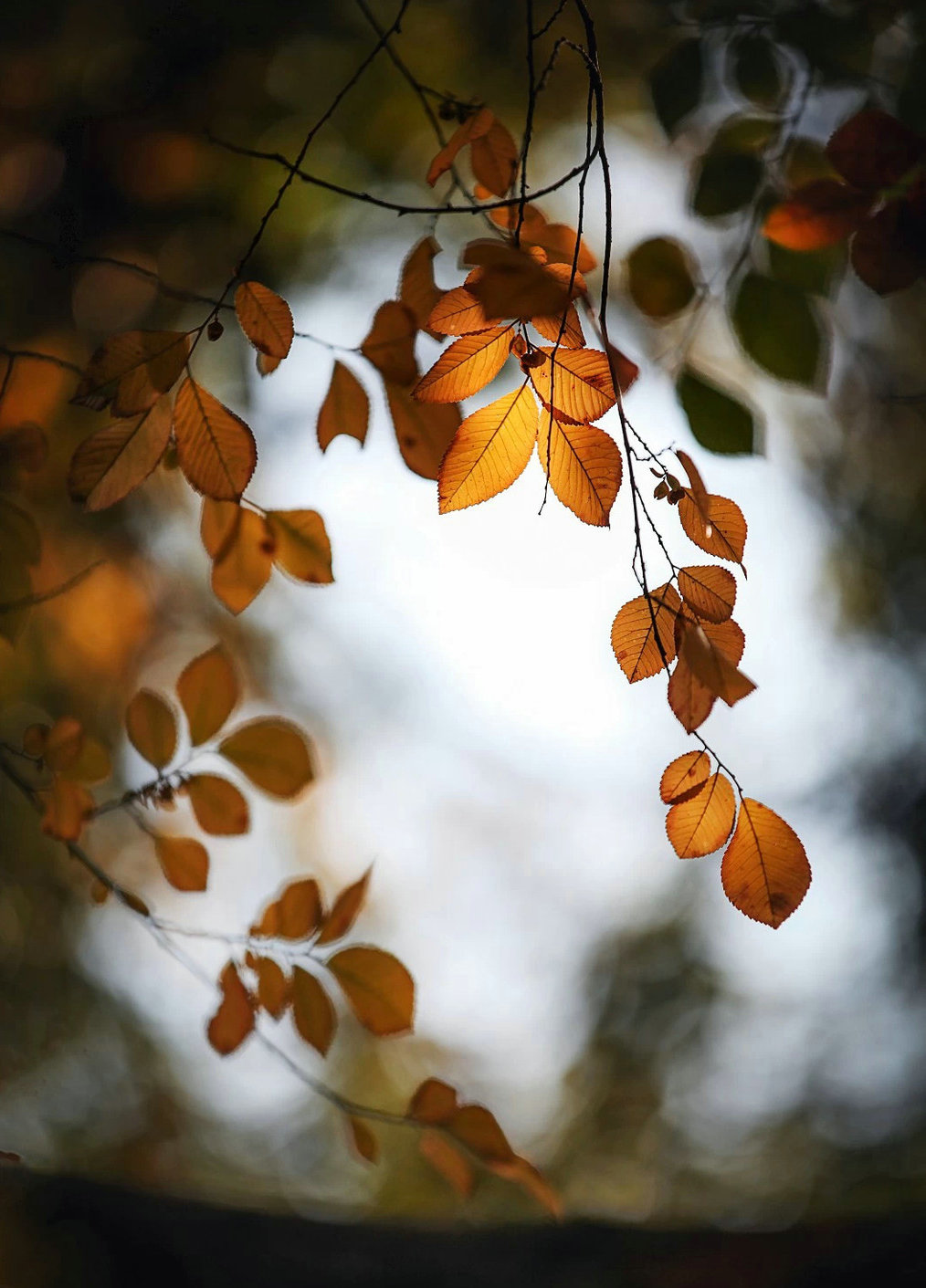 医院门诊管理的主要内容,医院门诊制度标准