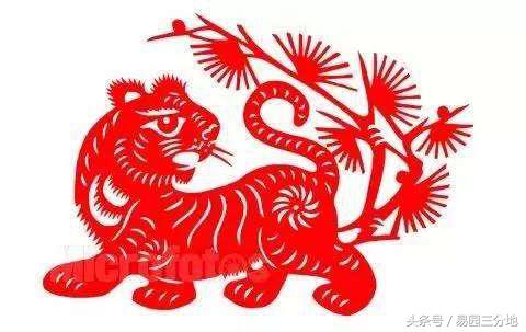 给自己算命:十二生肖逐年、逐月、逐日、逐时福禄解之寅虎篇