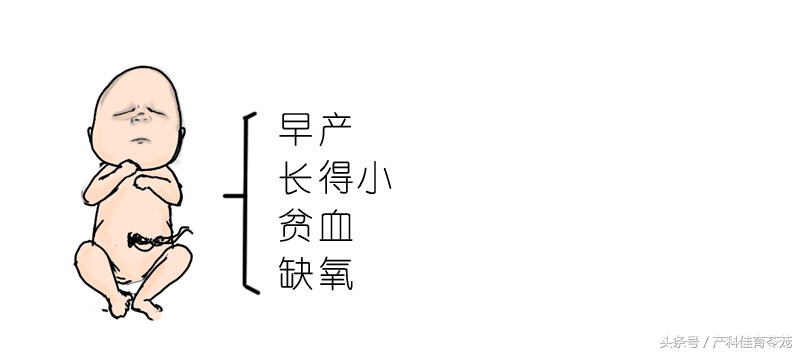 怀孕了有点贫血怎么办,怀孕缺铁性贫血