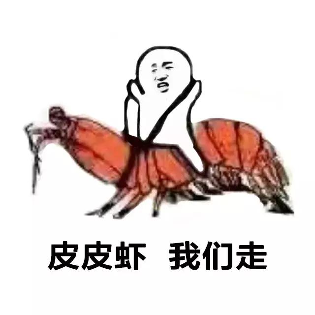带你去找皮皮虾,皮皮虾你爱去哪