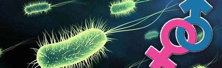 把珍珠疹当尖锐湿疣治疗,医生赚钱了,患者却惨了