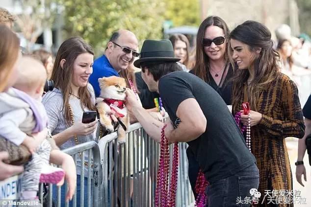 八卦骗局,八卦中的谣言有哪些