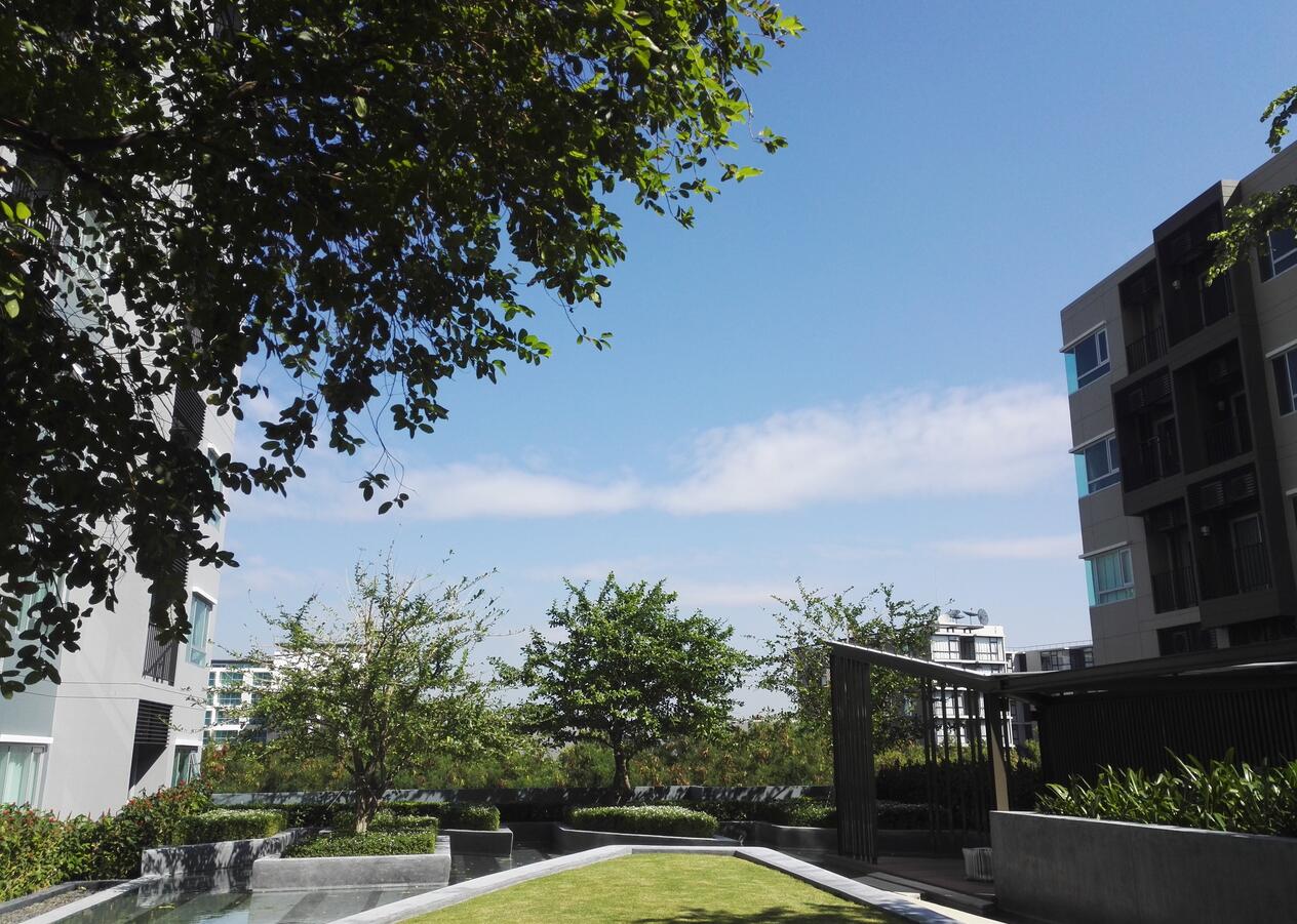 娉板浗鑺彁闆呭寳鍖簆attayaposh鍏瘬,娉板浗鑺彁闆卲attaya娴锋櫙