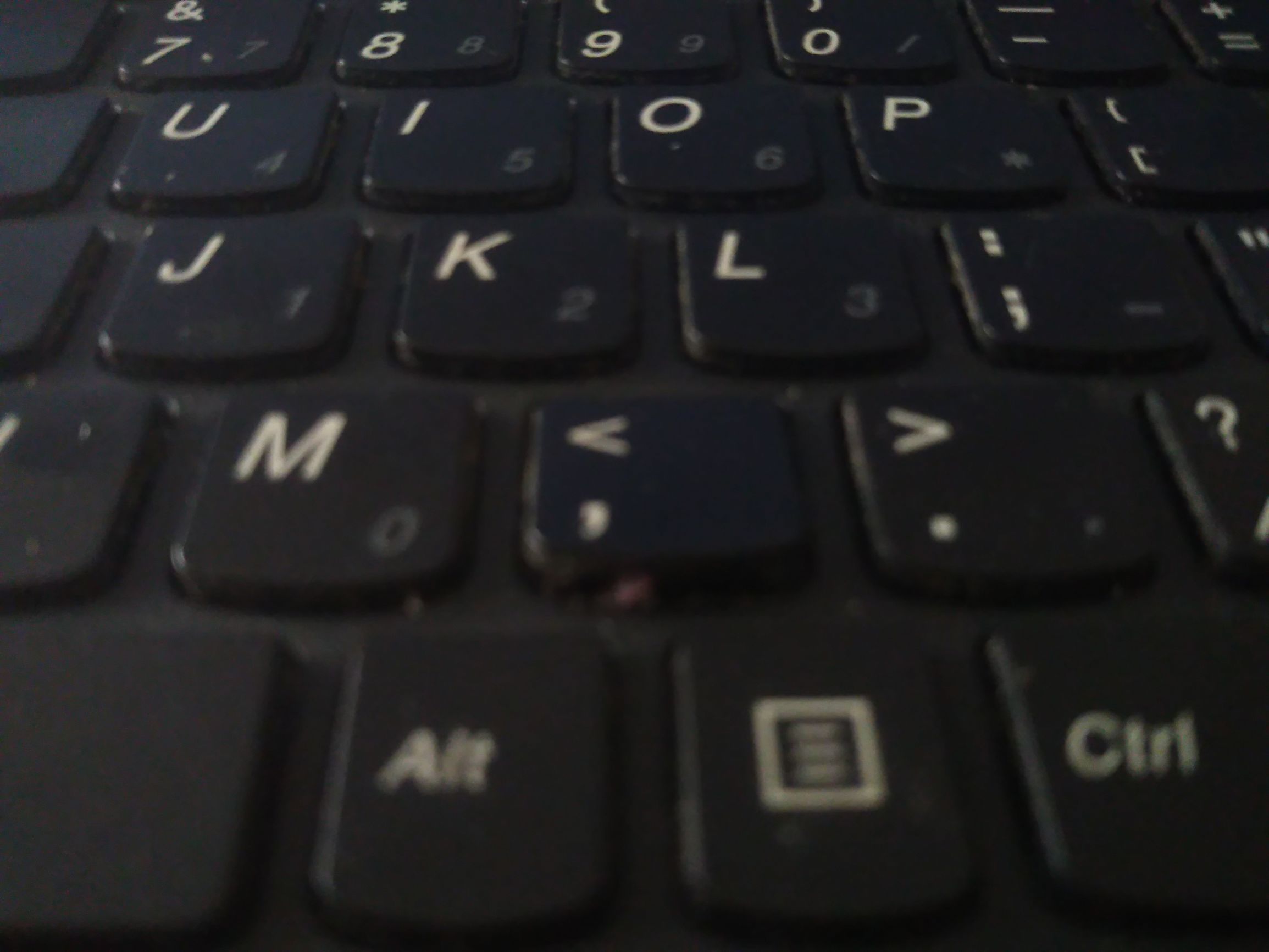 养了个假狗会怎么样,养了一只假猫真的不好吗