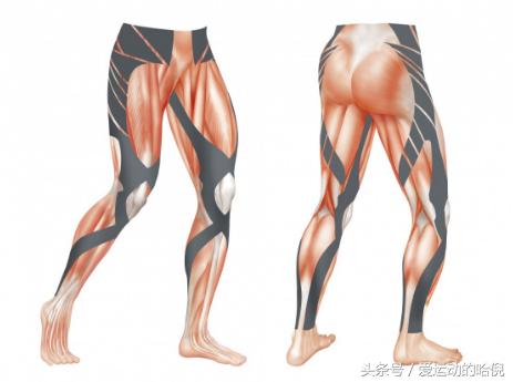 哪个牌子的运动紧身裤最好穿,紧身运动裤和压缩裤的区别