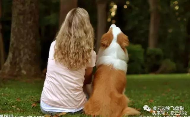 使狗狗快乐的动作,使狗狗开心的声音