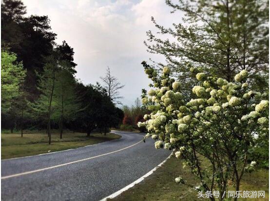 千岛湖畔环境最好的10家民宿可以躺床上钓鱼(下篇)