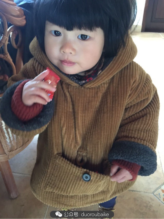 关于多肉植物的国画,多肉山水画