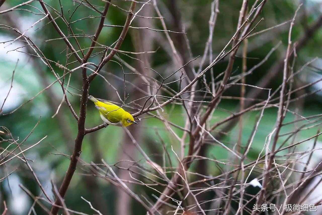 微信群发拜年祝福语怎么发,微信拜年群发