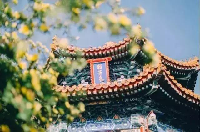 杭州飞海南特价机票价格,杭州飞武汉的飞机票团购