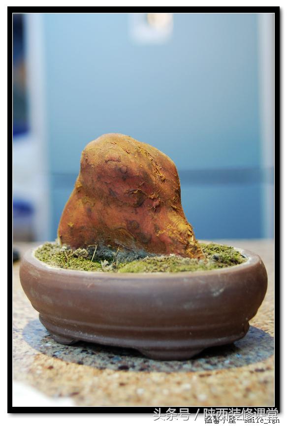 50平米小户型2室一厅美式田园,50平方的院子美式田园风