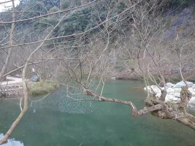 茶产业转型升级的意义,茶产业转型升级的建议