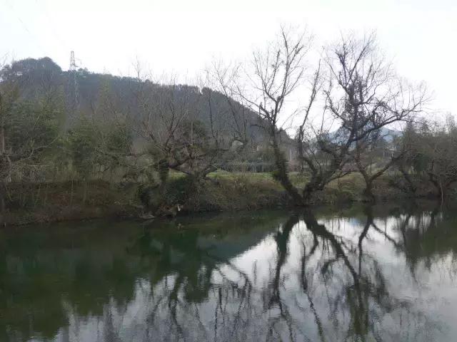 茶产业转型升级的意义,茶产业转型升级的建议