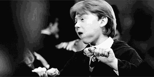 蛋白怎么卖的,一克蛋白质的成本