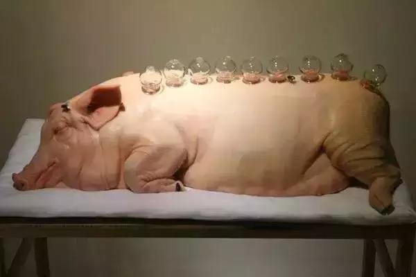 这种物质曾被当作保健成分,受害者的遗骨因此发光上千年