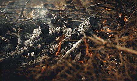 原来我爱的怪味道，都有对应的一款香水