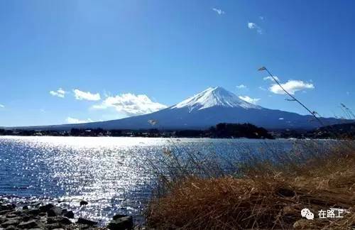 东京盛开的花,东京行走的画卷