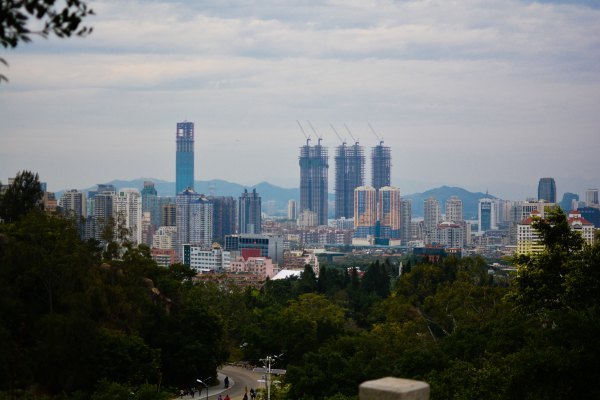 盆栽国色天香,国色天香立春