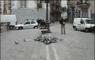 30秒抓鸽子,八个神器抓鸽子