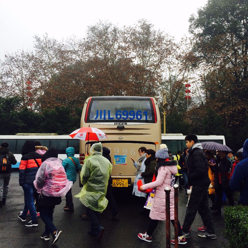 成都到乐山最佳方案,成都到乐山全攻略