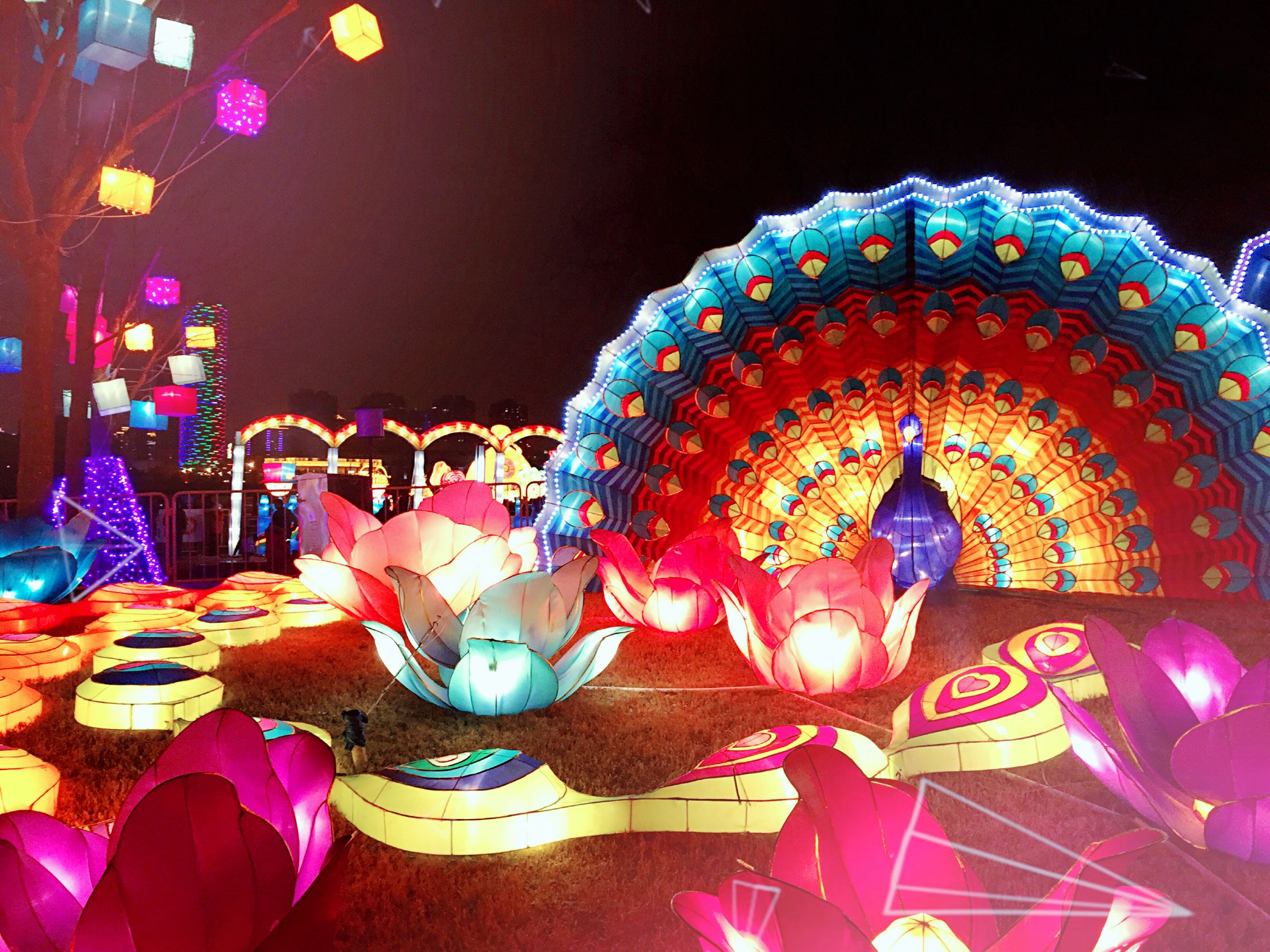 元宵节的美文500字,我记忆中的元宵节美文