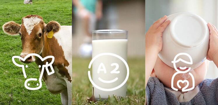 为什么澳洲的奶粉比国版的便宜,澳洲奶粉好还是俄罗斯奶粉好