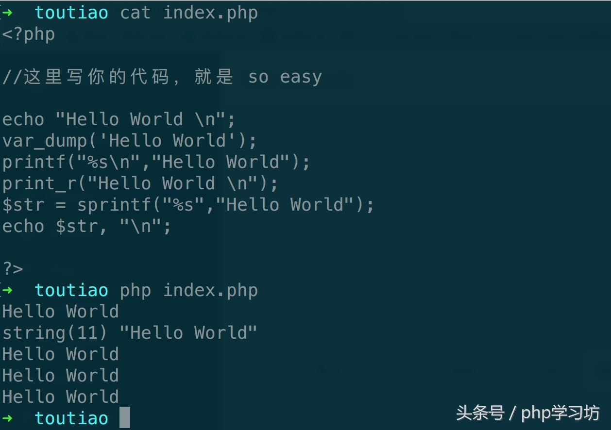 php环境变量学习方法教程,php教程字符学习