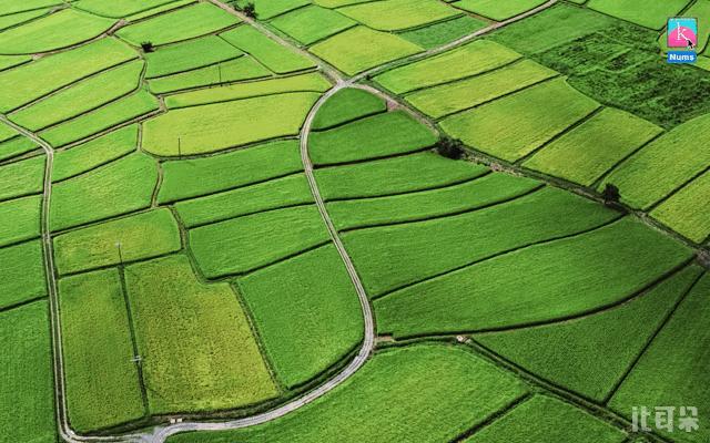 迷你键盘可换电池,迷你型键盘电池