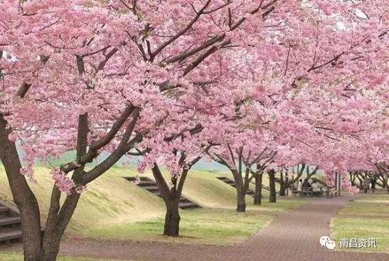 南昌出发最便宜的飞机票,南昌出发到哪里的机票最便宜