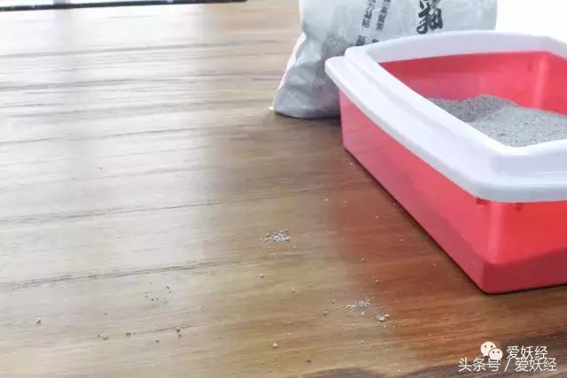 膨润土混合猫砂推荐排行榜,15-25的膨润土猫砂测评推荐