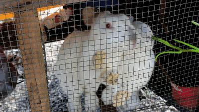 潮州好玩的农庄推荐,2022年潮州哪个农庄好玩