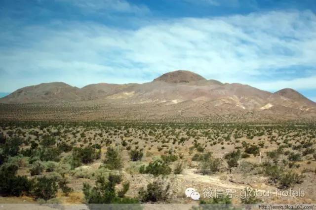 贝拉吉奥——罪恶之城的金色之花