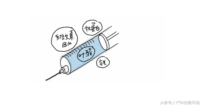 怀孕了有点贫血怎么办,怀孕缺铁性贫血