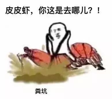 带你去找皮皮虾,皮皮虾你爱去哪