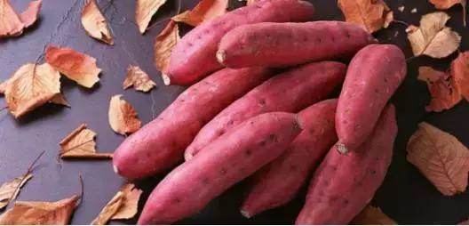 吃长黑斑的红薯会中毒,我吃了为什么没事?