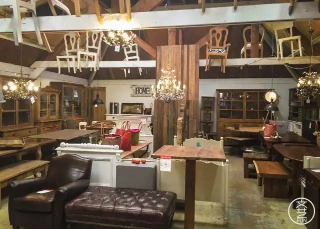 我们和郑州的海龟聊了聊，发现他们的生活不过如此