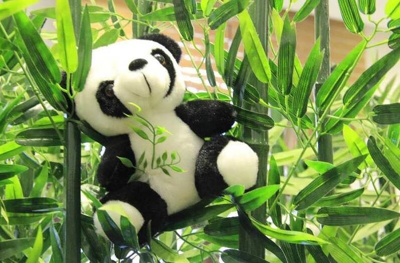 太原吃素好地方，全竹宴没吃过把，不能点餐就158元一位