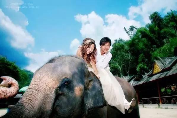 南充到云南拍婚纱照预计要多少钱,春天云南拍婚纱照的地方