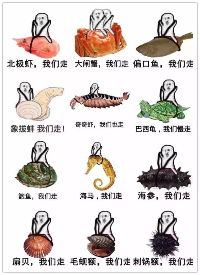 皮皮虾表情包所有图片,目前皮皮虾最火的表情包