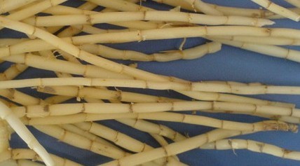 肾囊肿肾积水怎么治疗,肾结石肾积水怎么治疗