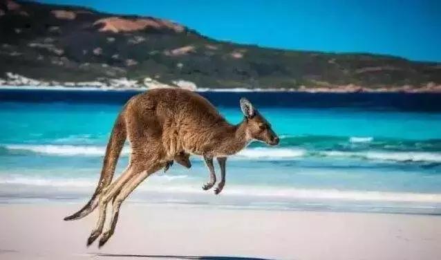 杭州飞海南特价机票价格,杭州飞武汉的飞机票团购