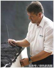 顶级睡眠寝具品牌,世界高端寝具