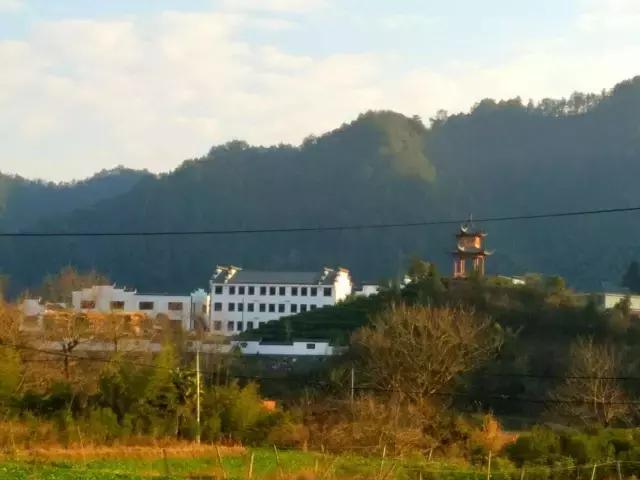 茶产业转型升级的意义,茶产业转型升级的建议