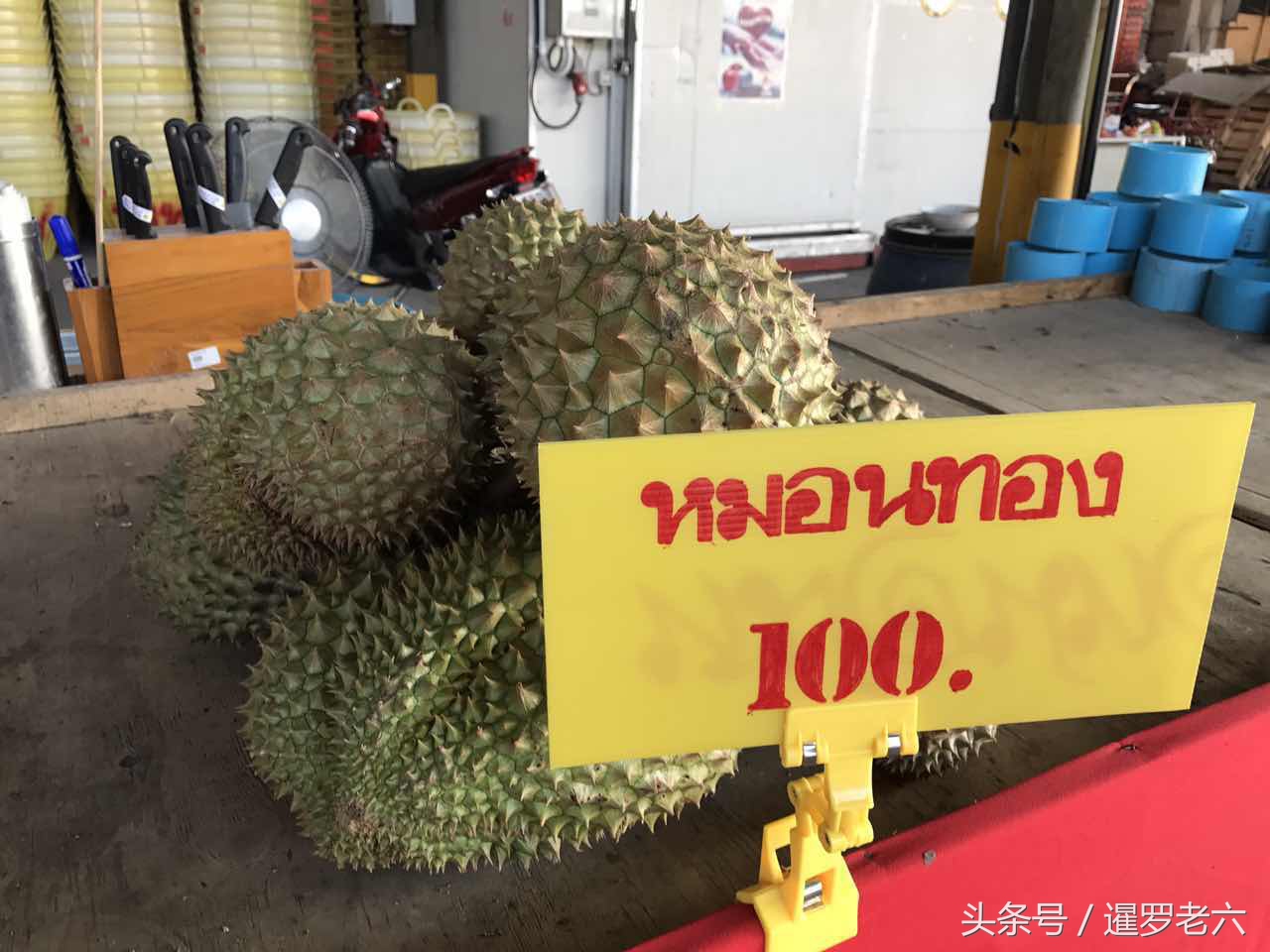 泰国榴莲9.9一斤,泰国金枕头榴莲