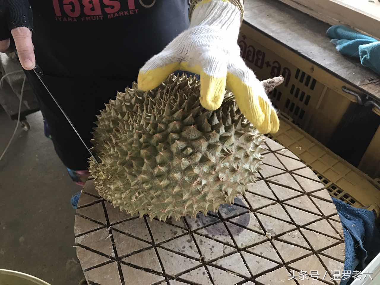 泰国榴莲9.9一斤,泰国金枕头榴莲