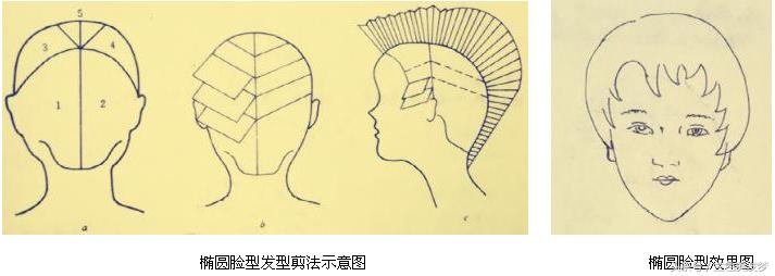 不同的脸型设计不同的发型,测一下自己脸型适合啥发型