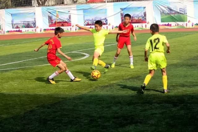 厦门青训足球联赛直播,青训厦门