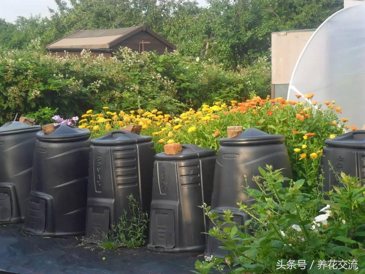 用菜叶和树叶哪个堆肥好,树叶和菜叶哪个做堆肥更好