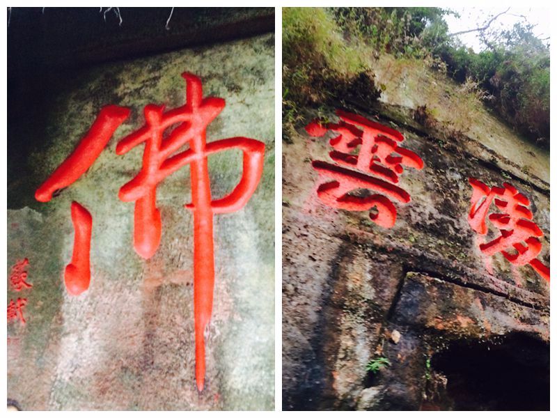 成都到乐山最佳方案,成都到乐山全攻略