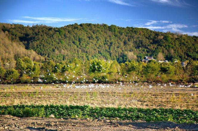 喧嚣的世界，长安CX70T还你静谧空间